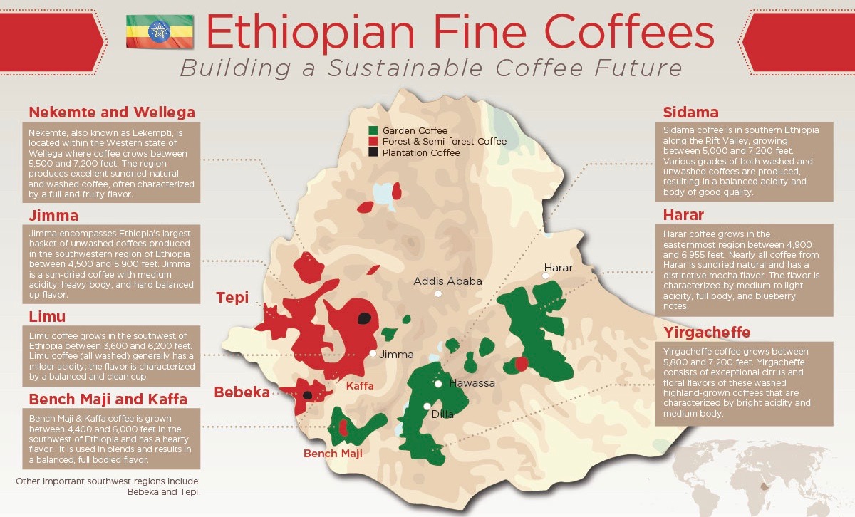 ETHIOPIA NƠI HÀNH TRÌNH BẮT ĐẦU – Phần 2