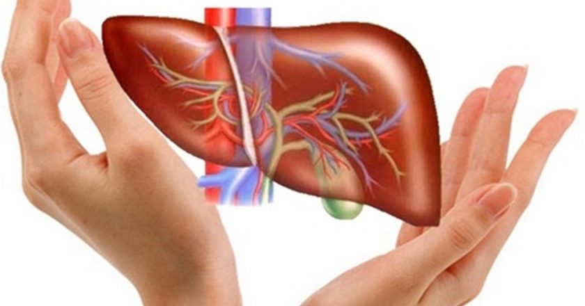 NHÂM NHI TÁCH LY CÀ PHÊ ĐỂ BẢO VỆ LÁ GAN CỦA BẠN