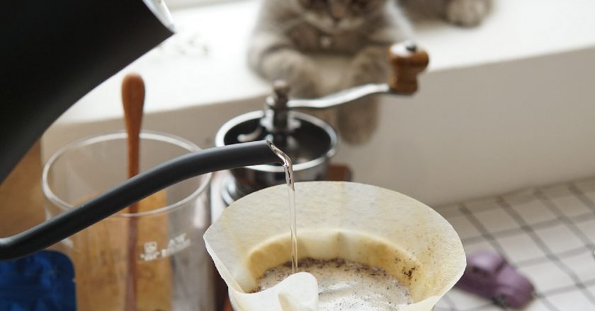 NHỮNG CHIẾC ẤM RÓT CÀ PHÊ CỔ CONG CUỐN HÚT ĐỂ PHA CÀ PHÊ NGON KHÓ CƯỠNG