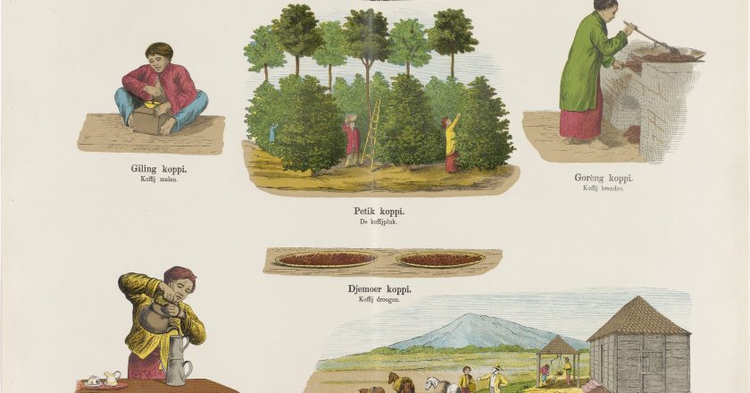 (Phần 1) Đất nước Indonesia – Vùng đất vàng cà phê Châu Á