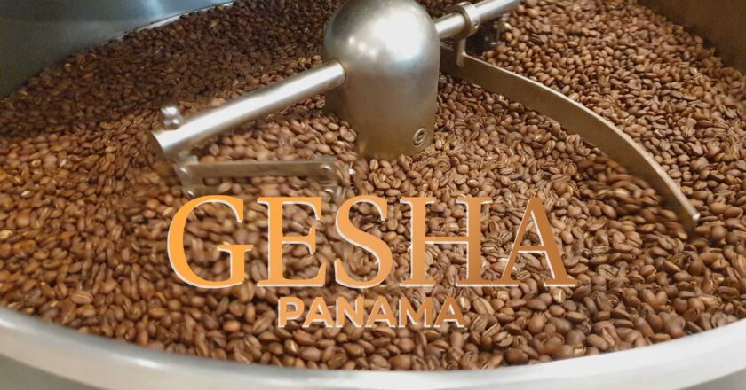 GESHA Panama – Những hương vị tìm ẩn
