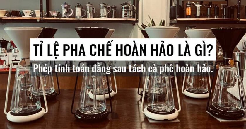 Tỉ lệ pha cà phê hoàn hảo là gì? Phép tính toán đằng sau tách cà phê hoàn hảo.