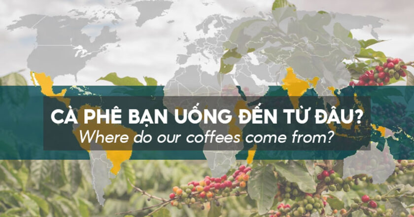 Hạt cà phê của chúng ta bắt nguồn từ đâu? – Phần 3