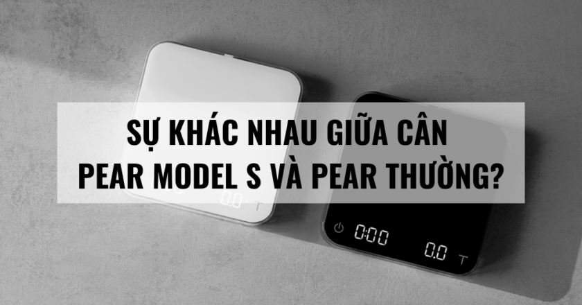 Sự khác nhau giữa cân Pear Model S và Pear thường?