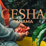 Gesha Panama – (Phần 1) Vùng Đất Tạo Nên Những Hạt Cà Phê Thượng Hạng Và Sự Ra Đời Của Giống Gesha