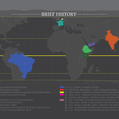 Khám phá bí mật của cà phê đặc sản: Hướng dẫn cho người mới bắt đầu