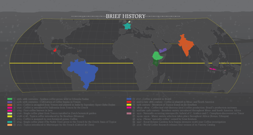 Khám phá bí mật của cà phê đặc sản: Hướng dẫn cho người mới bắt đầu
