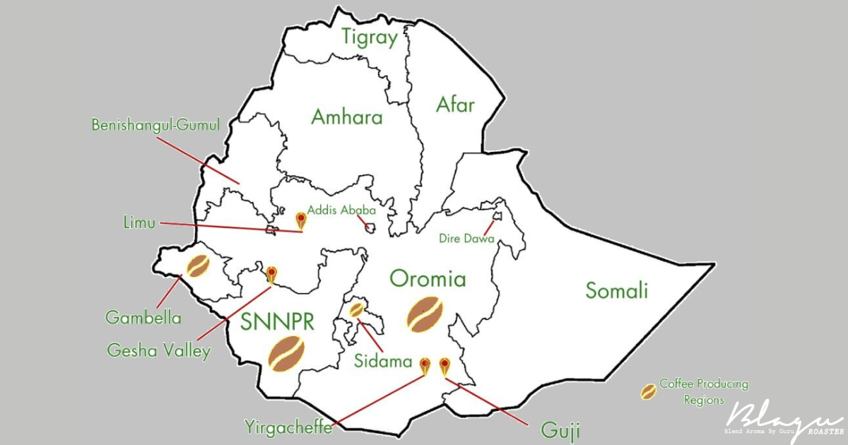 Vùng trồng cà phê Ethiopia Yingacheffe