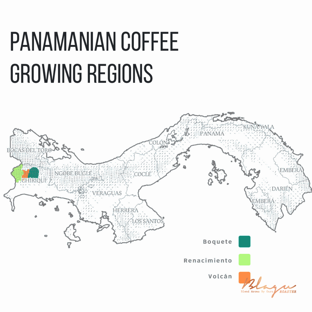 Vùng trồng cà phê của Panama