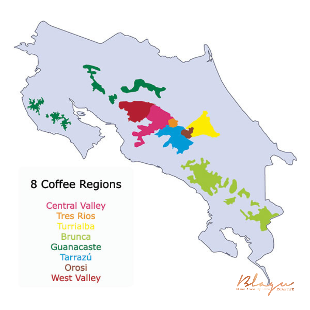 Bản đồ 8 vùng trồng cà phê Costa Rica