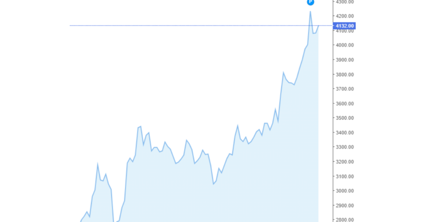 Giá cà phê trong nước và thế giới hôm nay 23/04/2024