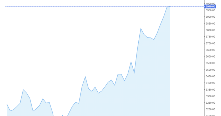 Giá cà phê trong nước và thế giới hôm nay 17/04/2024