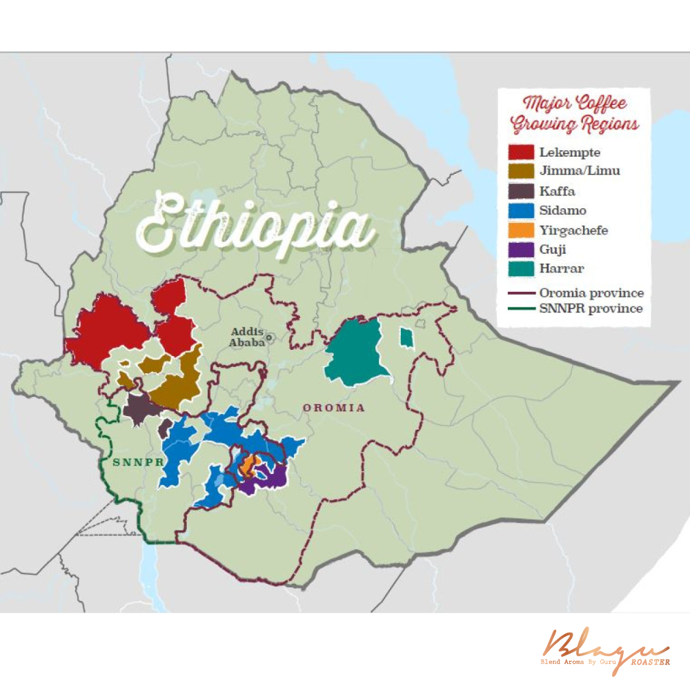 Vùng đất trồng cà phê Ethiopia