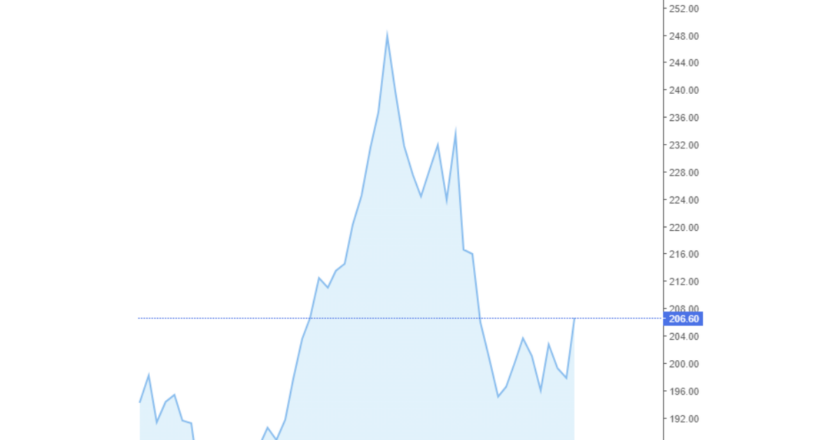 Giá cà phê trong nước và thế giới hôm nay 20/05/2024