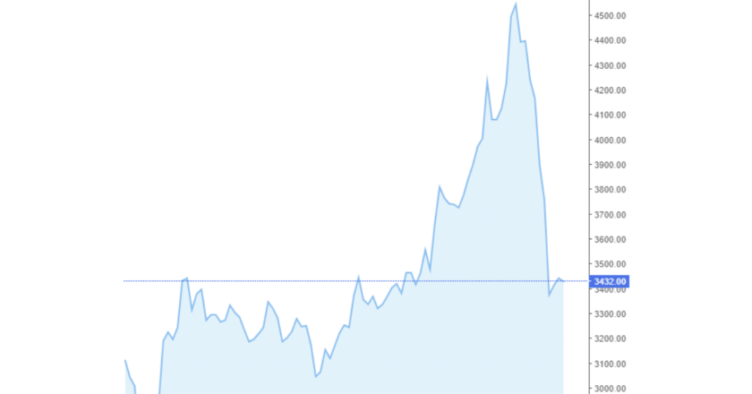 Giá cà phê trong nước và thế giới hôm nay 13/05/2024
