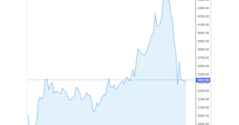 Giá cà phê trong nước và thế giới hôm nay 15/05/2024