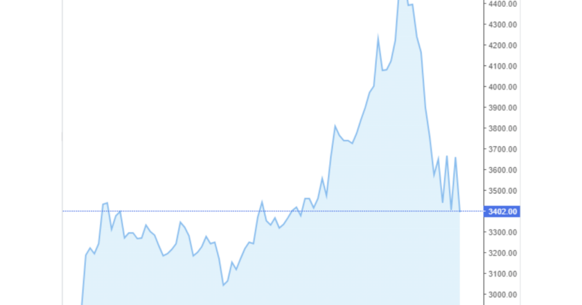 Giá cà phê trong nước và thế giới hôm nay 16/05/2024