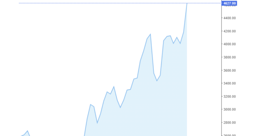Giá cà phê Arabica và Robusta hôm nay 10/07/2024