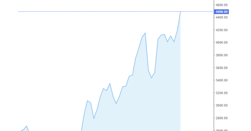 Giá cà phê Arabica và Robusta hôm nay 11/07/2024