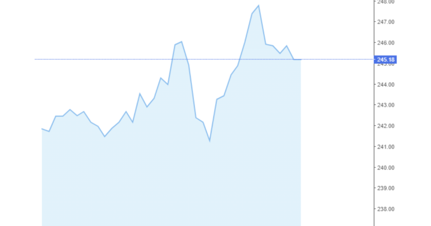 Giá cà phê Arabica và Robusta trong nước và quốc tế hôm nay 08/08/2024