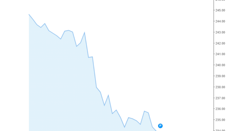 Giá cà phê Arabica và Robusta trong nước và quốc tế hôm nay 10/08/2024