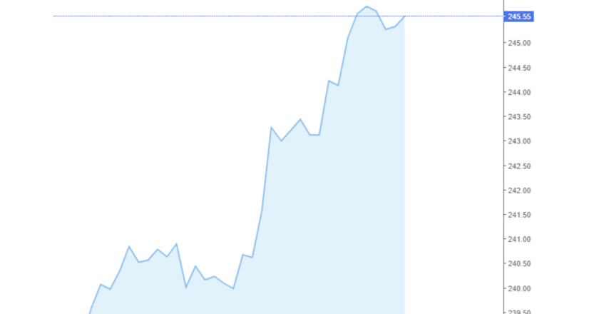 Giá cà phê Arabica và Robusta trong nước và quốc tế hôm nay 17/08/2024