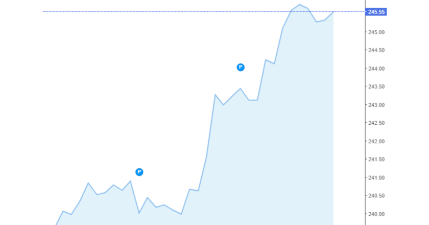 Giá cà phê Arabica và Robusta trong nước và quốc tế hôm nay 19/08/2024