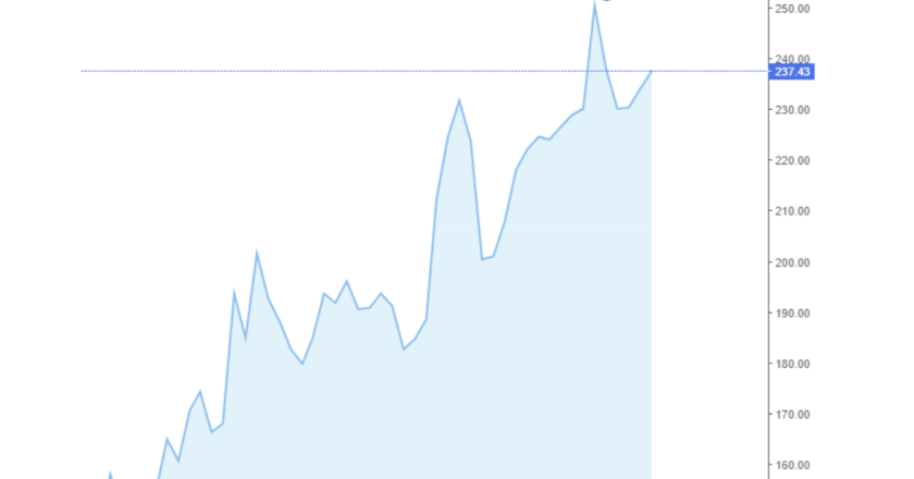 Giá cà phê Arabica và Robusta trong nước và quốc tế hôm nay 15/08/2024
