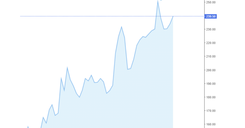 Giá cà phê Arabica và Robusta trong nước và quốc tế hôm nay 16/08/2024