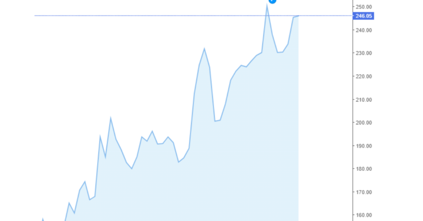 Giá cà phê Arabica và Robusta trong nước và quốc tế hôm nay 21/08/2024
