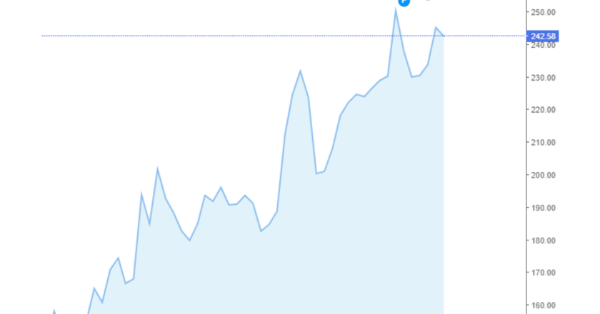 Giá cà phê Arabica và Robusta trong nước và quốc tế hôm nay 23/08/2024