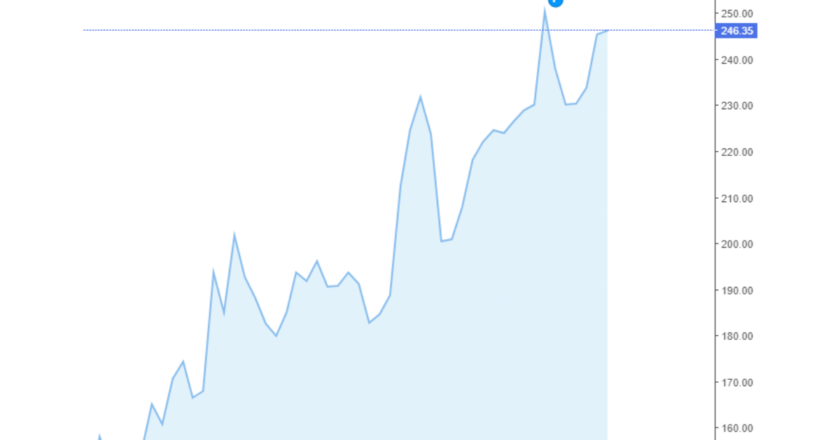 Giá cà phê Arabica và Robusta trong nước và quốc tế hôm nay 24/08/2024