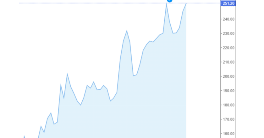 Giá cà phê Arabica và Robusta trong nước và quốc tế hôm nay 26/08/2024