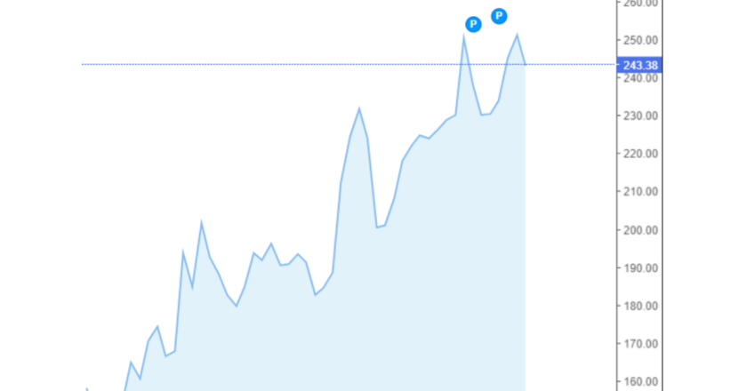 Giá cà phê Arabica và Robusta trong nước và quốc tế hôm nay 31/08/2024