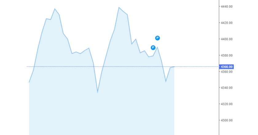 Giá cà phê Arabica và Robusta trong nước và quốc tế hôm nay 13/08/2024