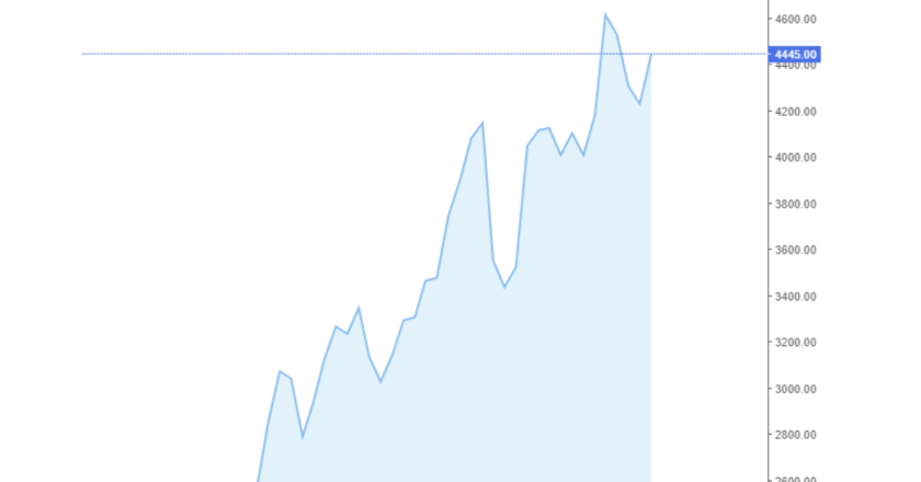 Giá cà phê Arabica và Robusta trong nước và quốc tế hôm nay 09/08/2024