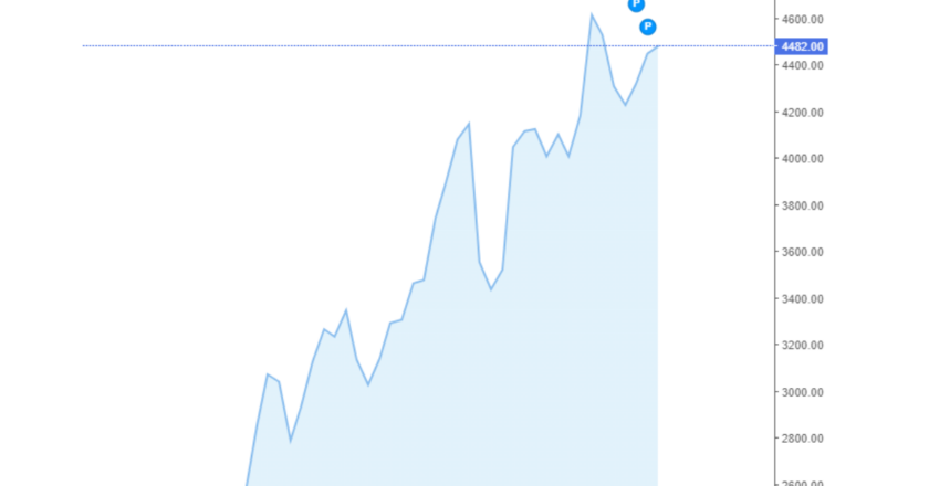 Giá cà phê Arabica và Robusta trong nước và quốc tế hôm nay 20/08/2024