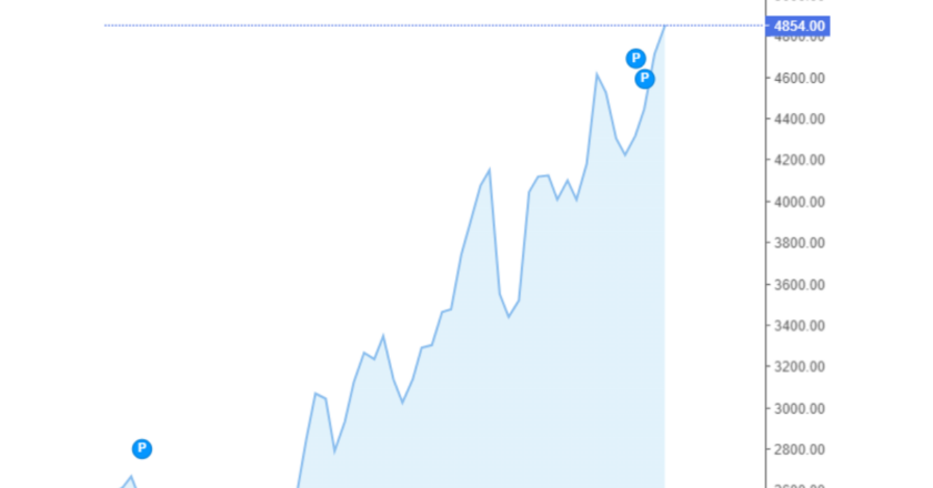 Giá cà phê Arabica và Robusta trong nước và quốc tế hôm nay 28/08/2024
