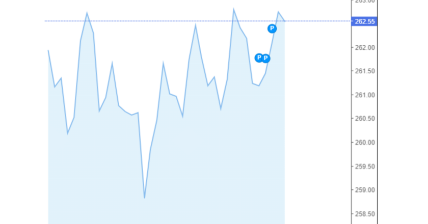 Giá cà phê Arabica và Robusta trong nước và quốc tế hôm nay 20/09/2024