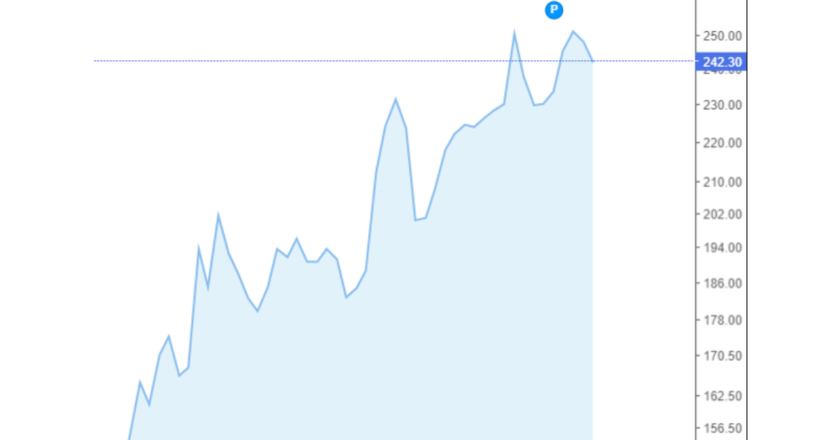 Giá cà phê Arabica và Robusta trong nước và quốc tế hôm nay 04/09/2024