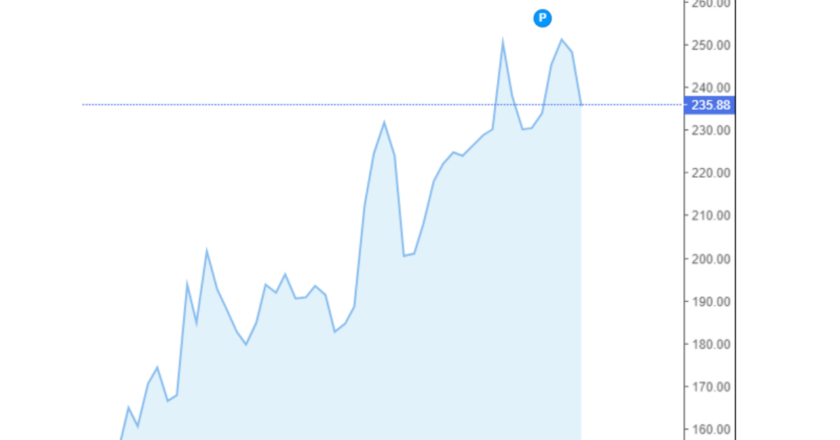 Giá cà phê Arabica và Robusta trong nước và quốc tế hôm nay 07/09/2024