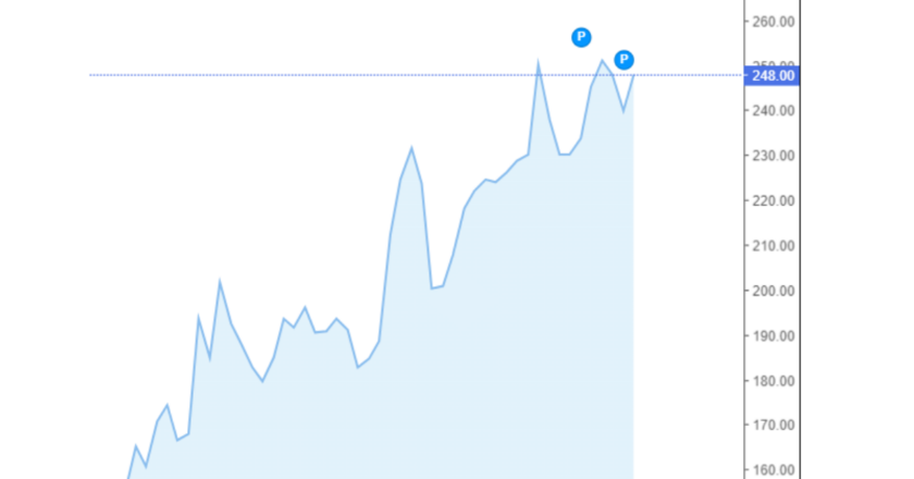 Giá cà phê Arabica và Robusta trong nước và quốc tế hôm nay 11/09/2024