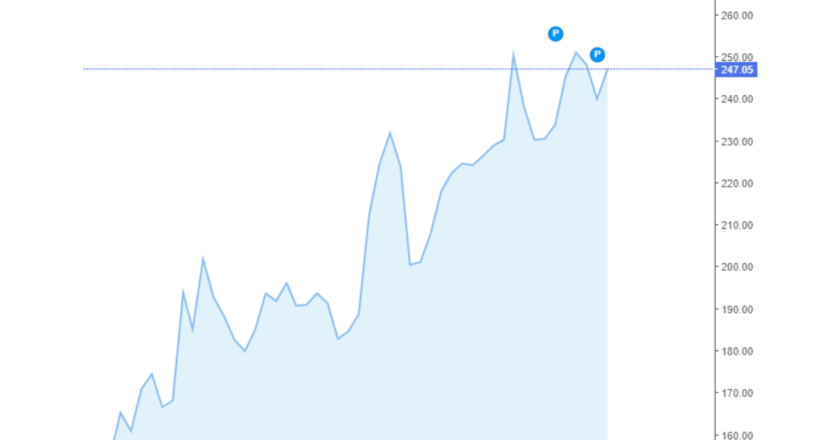 Giá cà phê Arabica và Robusta trong nước và quốc tế hôm nay 12/09/2024