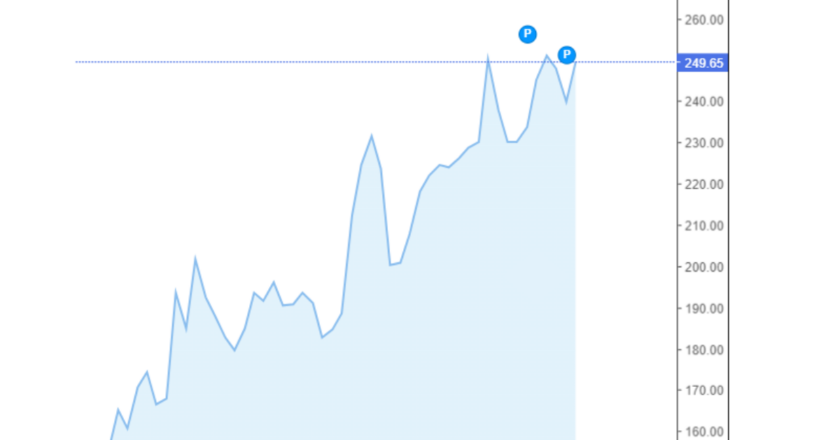 Giá cà phê Arabica và Robusta trong nước và quốc tế hôm nay 13/09/2024
