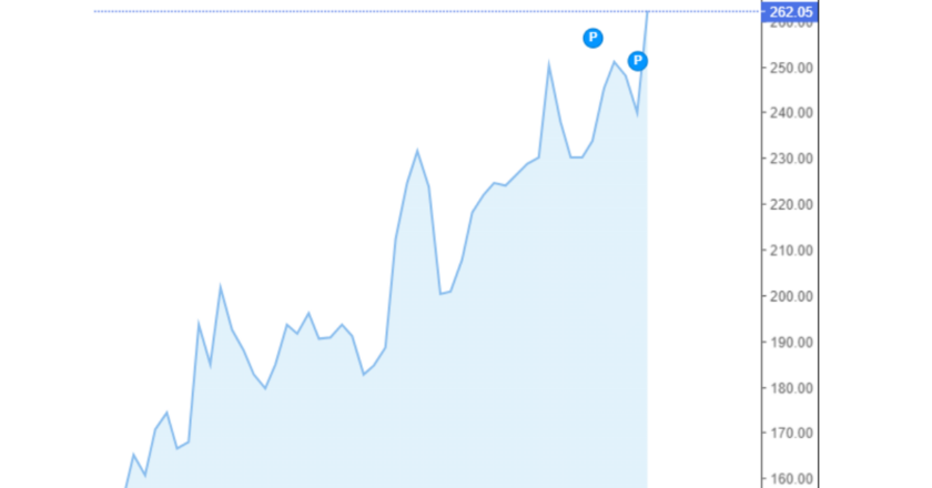 Giá cà phê Arabica và Robusta trong nước và quốc tế hôm nay 16/09/2024
