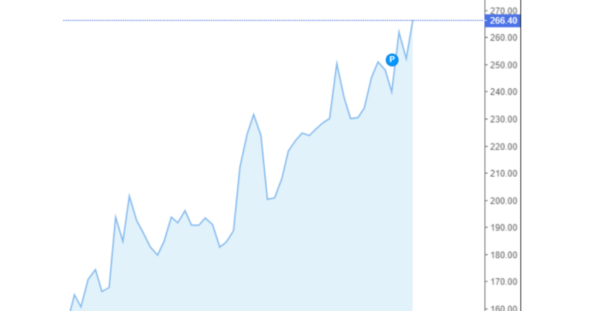 Giá cà phê Arabica và Robusta trong nước và quốc tế hôm nay 25/09/2024
