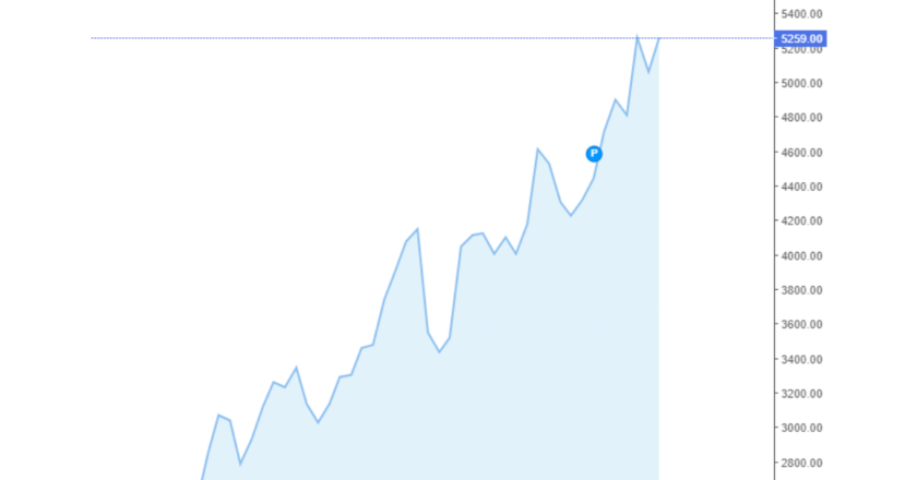 Giá cà phê Arabica và Robusta trong nước và quốc tế hôm nay 24/09/2024