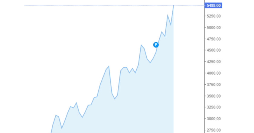Giá cà phê Arabica và Robusta trong nước và quốc tế hôm nay 28/09/2024
