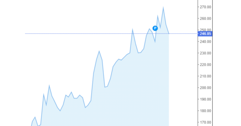 Giá cà phê Arabica và Robusta trong nước và quốc tế hôm nay 08/10/2024