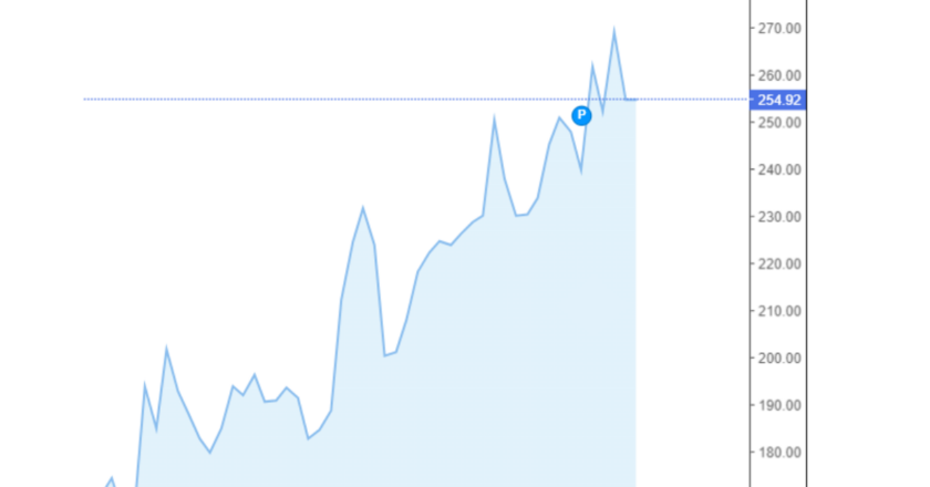 Giá cà phê Arabica và Robusta trong nước và quốc tế hôm nay 11/10/2024